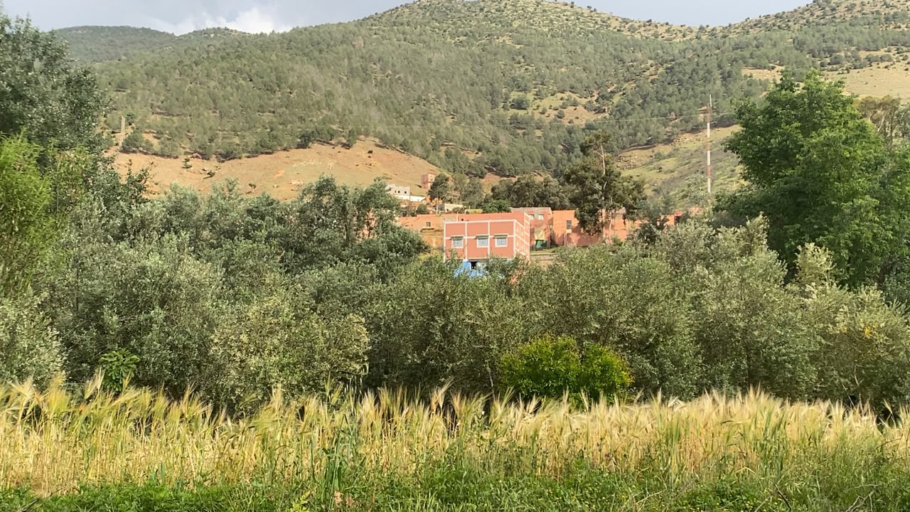 Le domaine Tayri Aura niché entre oliviers et montagnes de l'Atlas à Assif El Mal